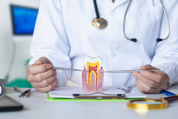 Best Urgent Dental Care for Toothache in Chevy Chase Heights, PA